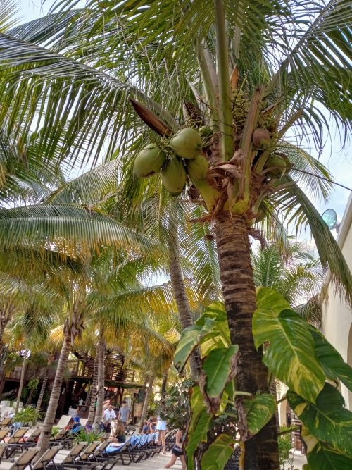 Mexico 