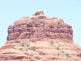 Coconino National Forest