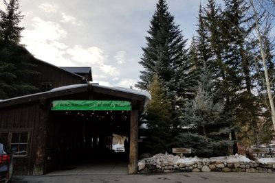 Sundance Film Festival 2020 - Green Banner