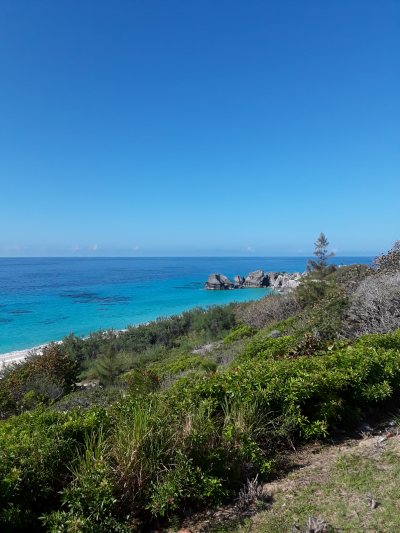 Beautiful Bermuda