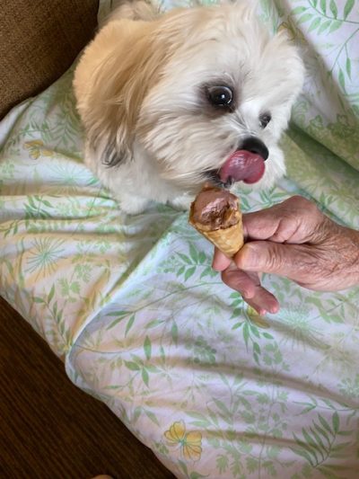 Zuzi loves ice cream