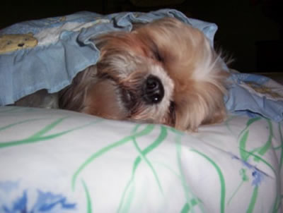 Zuzi with sleeping blanket