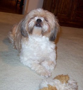 Zuzi with stuffed toy