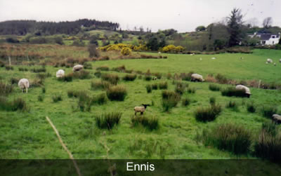 Ennis