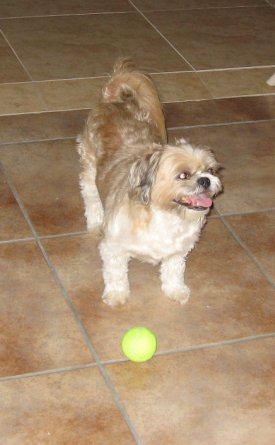 Zuzi with ball