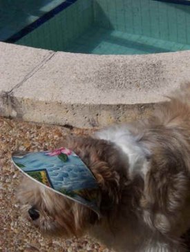 Zuzi by jacuzzi